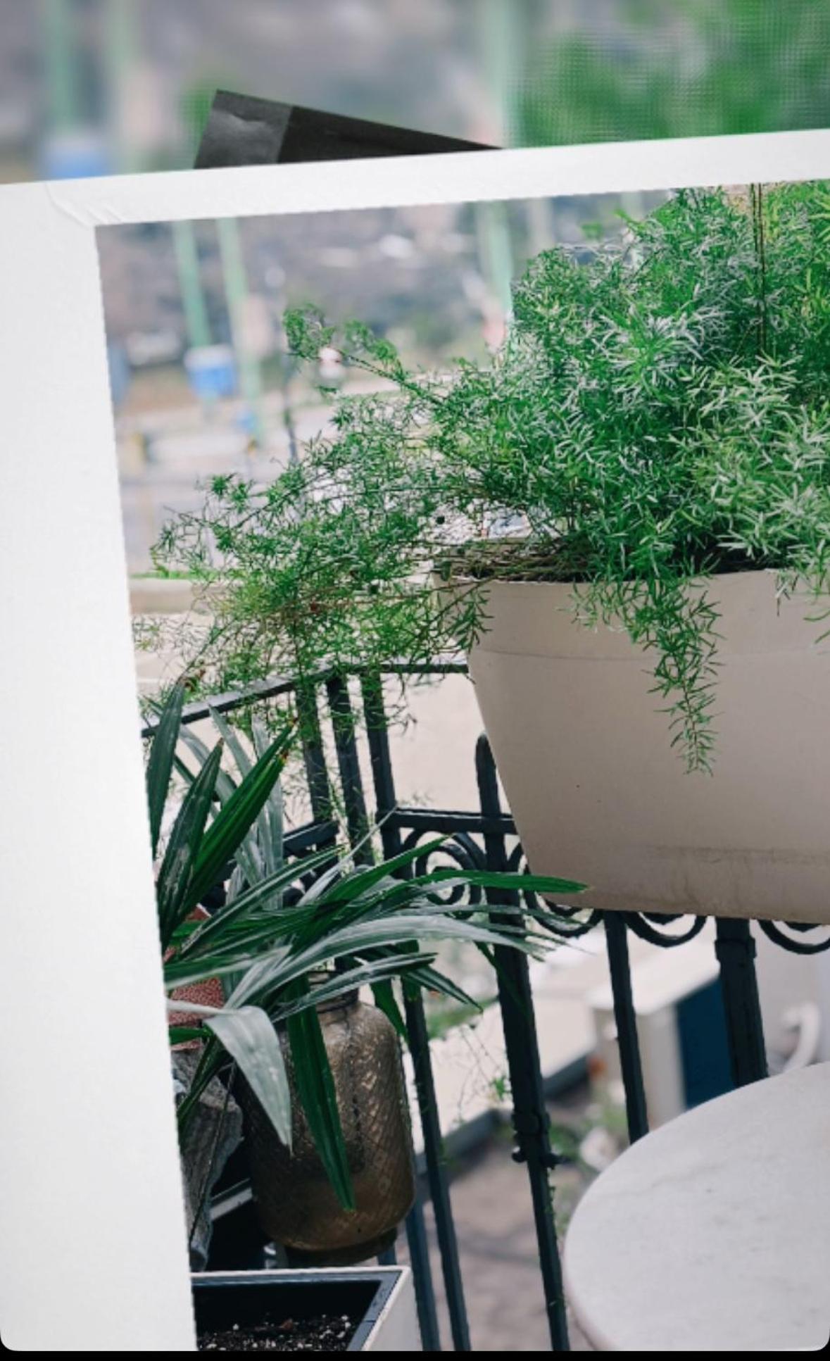 A Casa Di... Apartman Milánó Kültér fotó